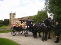 K R M Horse Drawn Carriage Services 1100883 Image 3